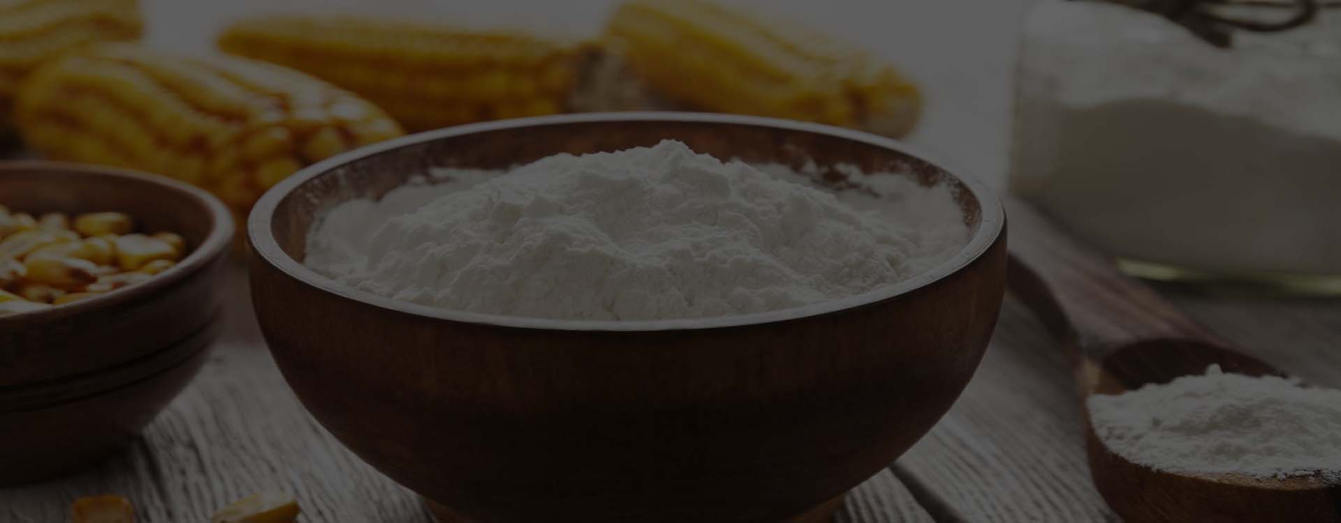 Modified Starch Manufacturer