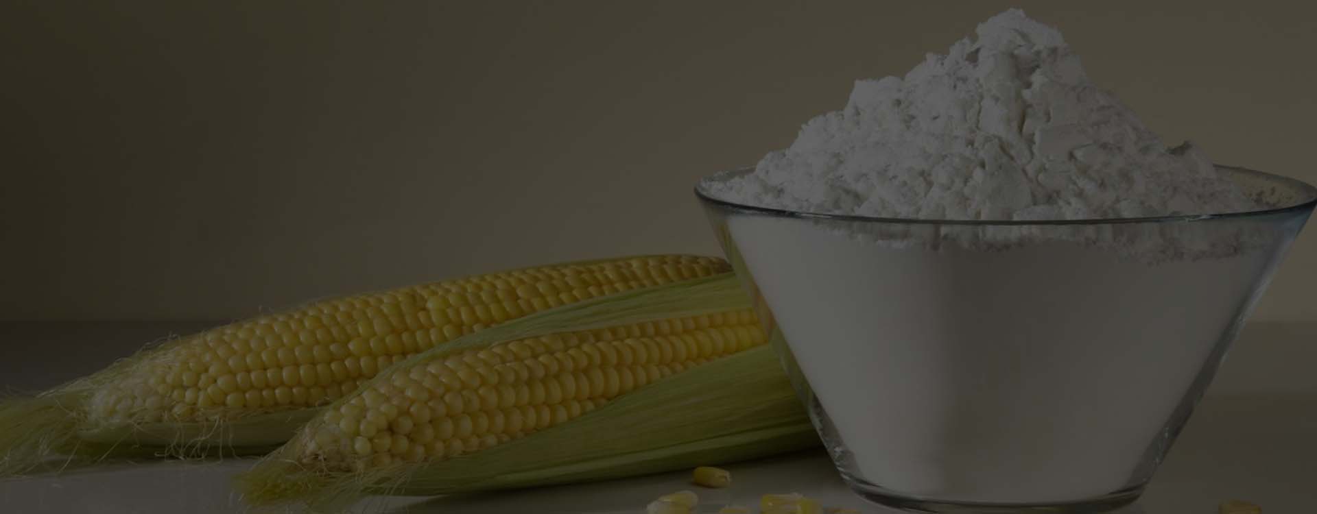 Modified Starch Manufacturer in India