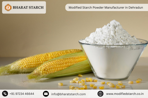 Modified Starch Powder Manufacturer in Dehradun