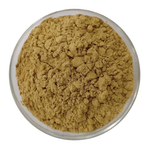 Yellow Dextrin Powder